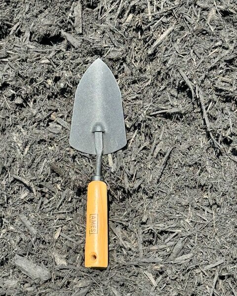 Dyed Black Mulch