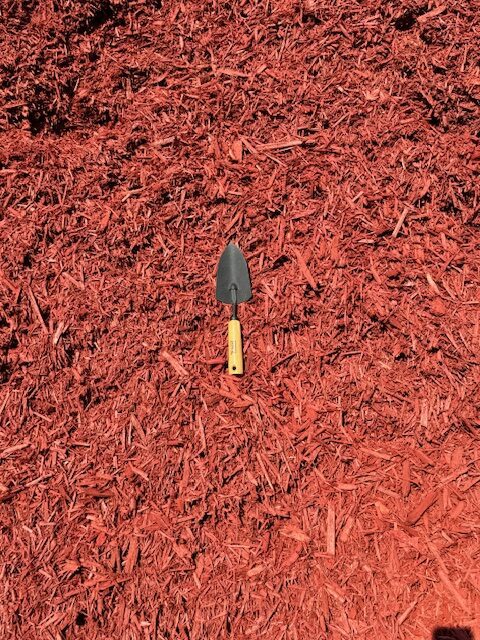 Dyed Red Mulch - Image 3