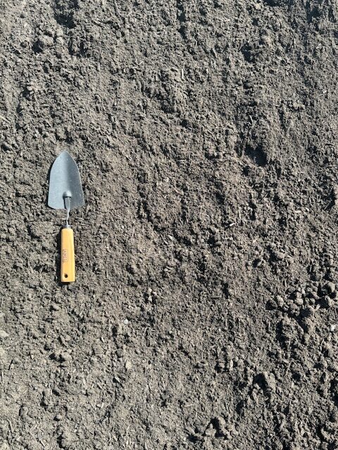 Screened Topsoil - Image 2