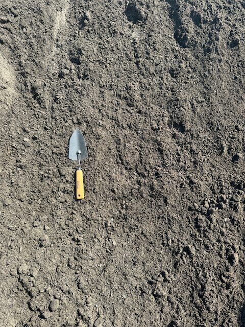 Screened Topsoil - Image 3
