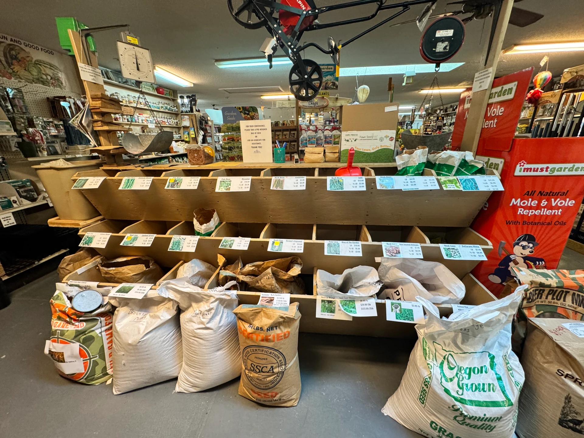 There is a variety of beans and bulbs at Soviero's garden Center in High Point, NC,
