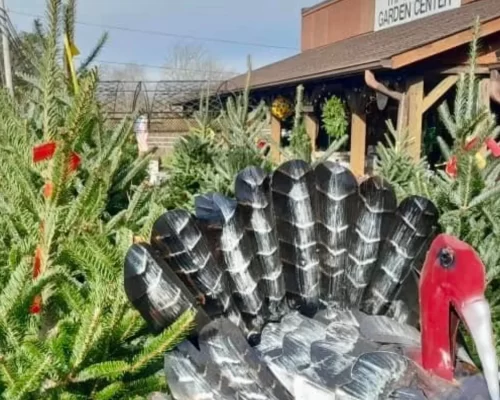 Seasonal selections are available at Svoiero's Garden Center in the Triad.