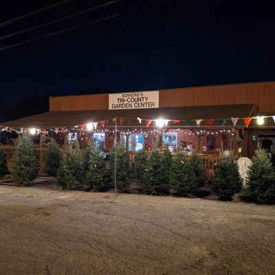 Quality Christmas trees at Soviero's Garden Center in High Point, NC.