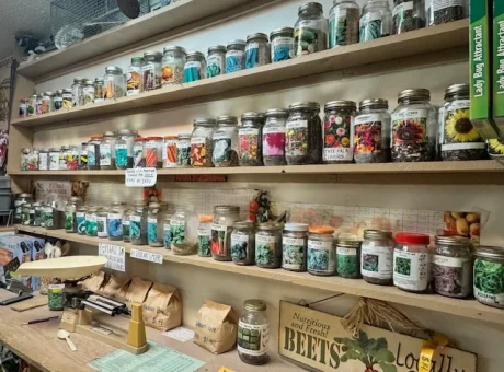 A variety of seeds available at Soviero's Garden Center featuring vegetable, flower, and herb seeds for North Carolina.